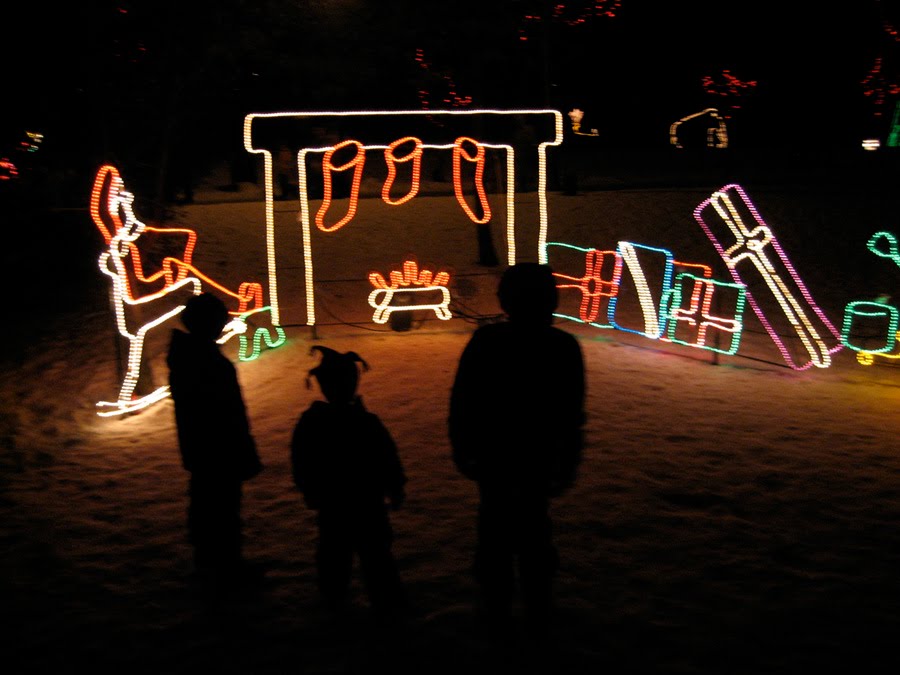 Children admiring lights in Waterloo Park