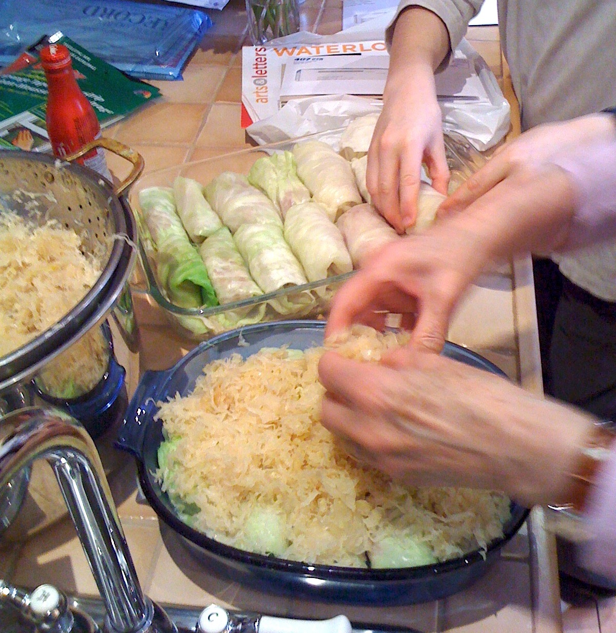 A closeup of two pairs of hands preparing cabbage roles for cooking